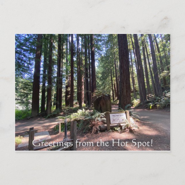 Grüße aus dem Hot Spot! Postkarte (Vorderseite)