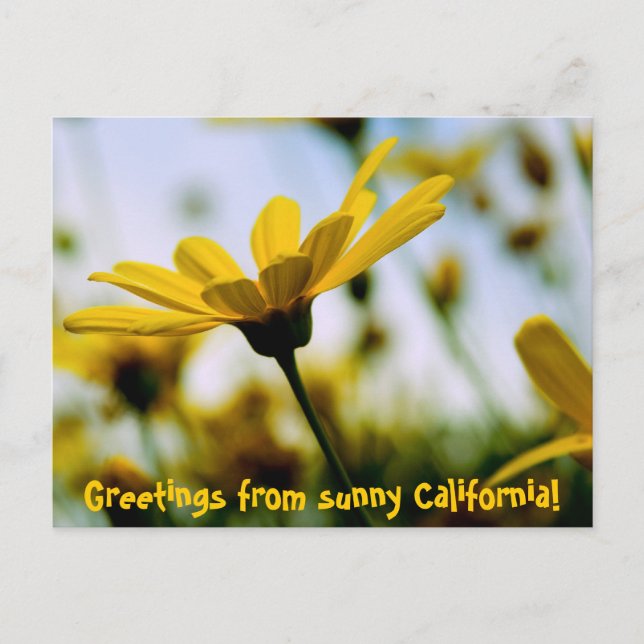 Grüße aus dem sonnigen Kalifornien! Postkarte (Vorderseite)