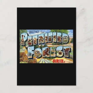 Grüße aus dem versteinerten Wald Arizona Postkarte