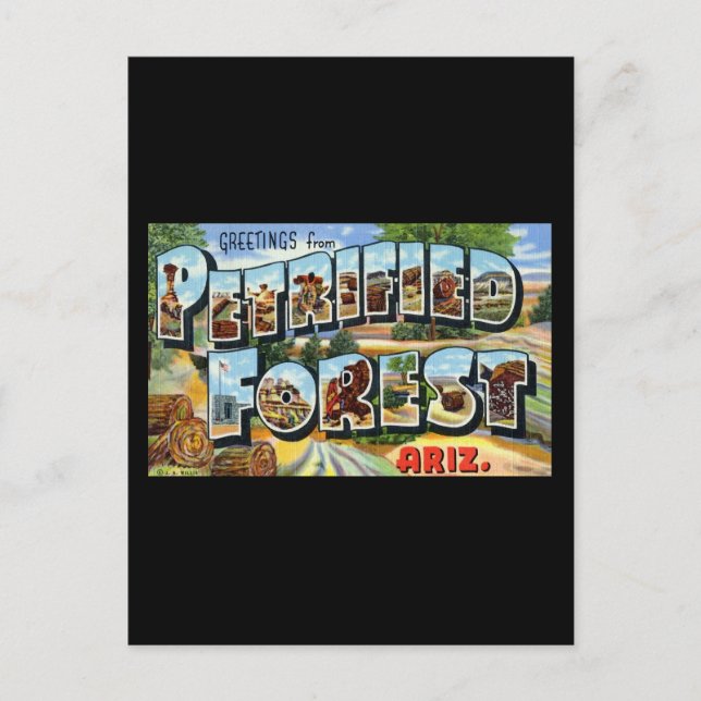 Grüße aus dem versteinerten Wald Arizona Postkarte (Vorderseite)