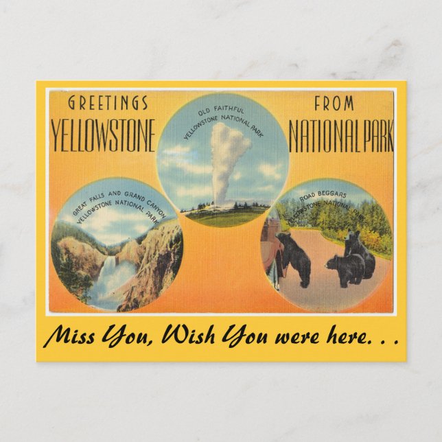 Grüße aus dem Yellowstone-Nationalpark Postkarte (Vorderseite)