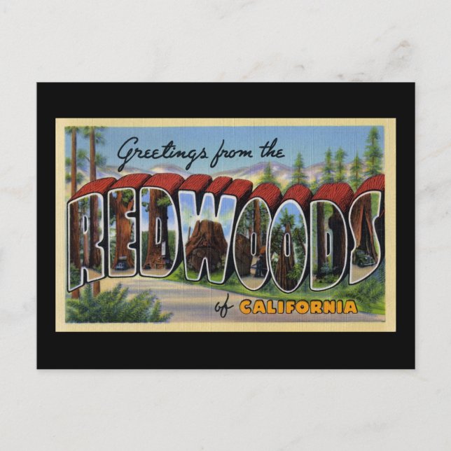 Grüße aus den Redwoods of California Postkarte (Vorderseite)