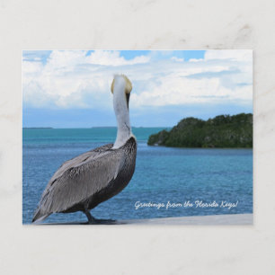 Grüße aus der Postkarte der Florida Keys