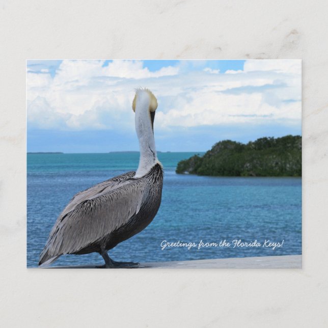 Grüße aus der Postkarte der Florida Keys (Vorderseite)