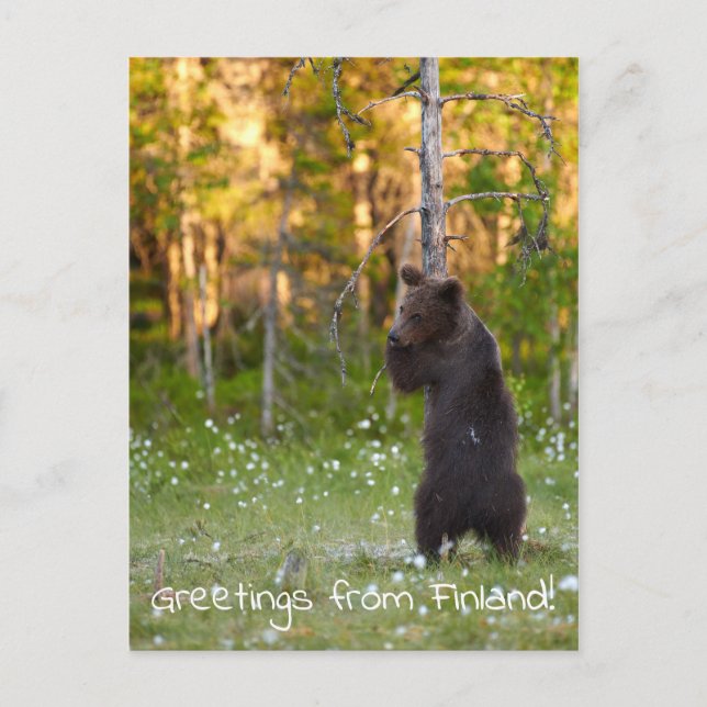 Grüße aus Finnland Postkarte (Vorderseite)
