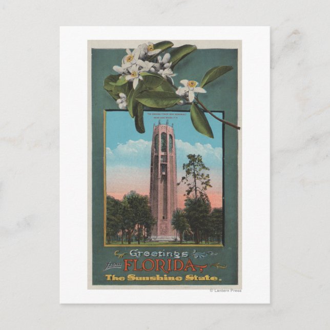Grüße aus Florida & Bild des Gesangs Postkarte (Vorderseite)