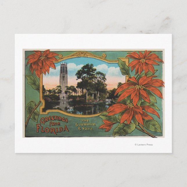 Grüße aus Florida, dem Sonnenschein-Staat Postkarte (Vorderseite)