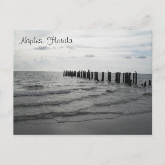 Grüße aus Florida Grußkarte Postkarte