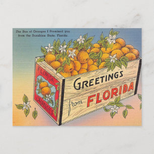 Grüße aus Florida! Postkarte
