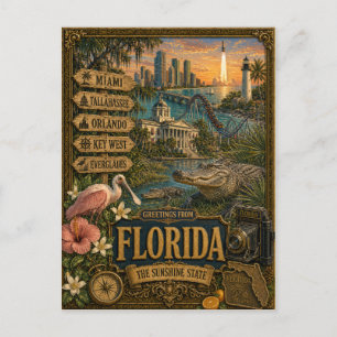 Grüße aus Florida   Vintage Retro Kunst Postkarte