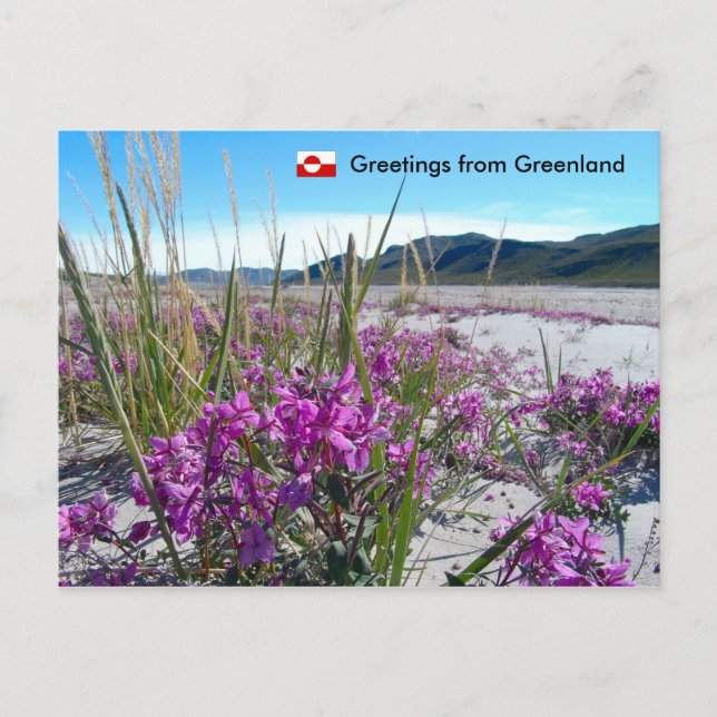 Grüße aus Grönland 5 Postkarte (Vorderseite)