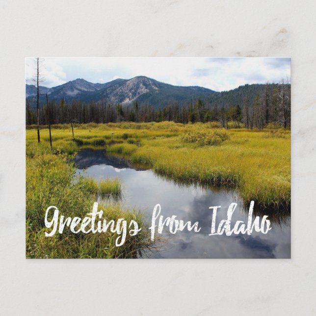 Grüße aus Idaho Landschaftliches Foto Postkarte (Vorderseite)