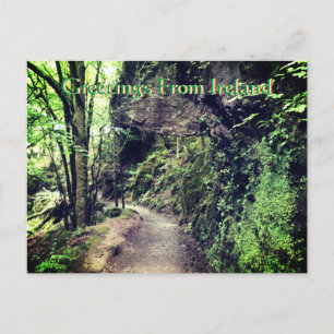Grüße aus Irland Postkarte