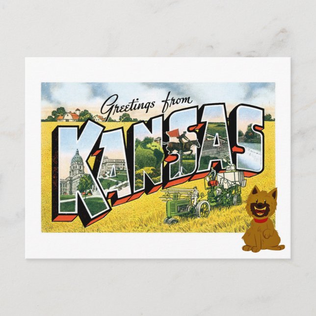 Grüße aus Kansas! Cairn Terrier Toto Postkarte (Vorderseite)