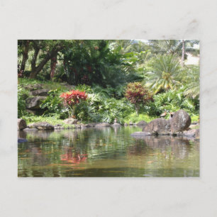 Grüße aus Kauai Postkarte