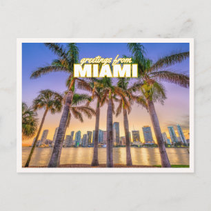 Grüße aus Miami Florida Retro-Palmbaum-Foto Postkarte