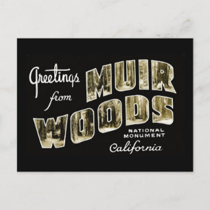 Grüße aus Muir Woods National Monument Postkarte