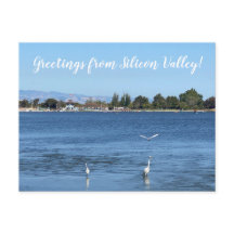 Grüße aus Silicon Valley!