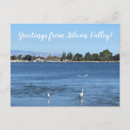 Grüße aus Silicon Valley! Postkarte