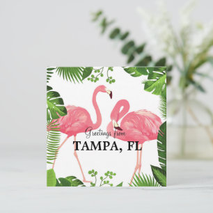 Grüße aus Tampa, Florida