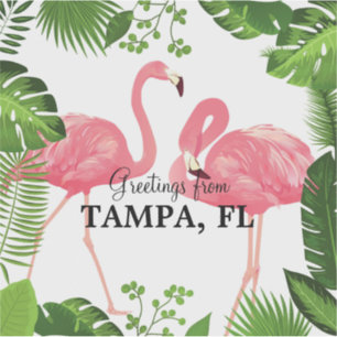 Grüße aus Tampa, Florida Aufkleber