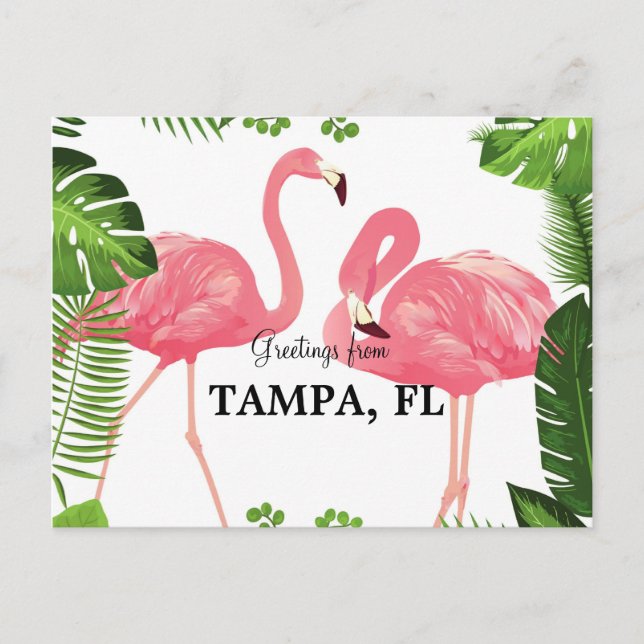 Grüße aus Tampa, Florida Postkarte (Vorderseite)