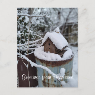 GRÜßE AUS TENNESSEE Winter-Vogelhaus-Foto Postkarte