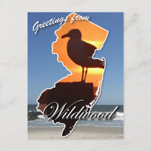 Grüße aus Wildwood Feiertagspostkarte