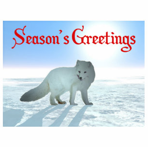 Grüße der Saison - Arktischer Fuchs Fotoskulptur Magnet