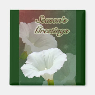 Grüße der Saison - White Bindweed Magnet