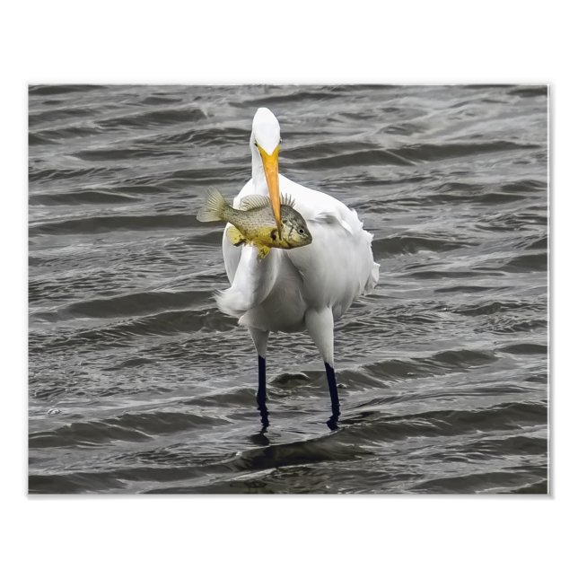 Grüße mit Mittagessen Fotodruck (Vorne)