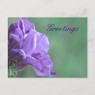 Grüße Postkarte