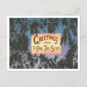 Grüße vom Pine Tree Staat, Maine Travel Postkarte