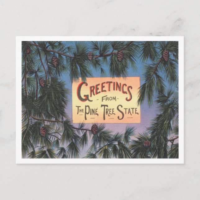 Grüße vom Pine Tree Staat, Maine Travel Postkarte (Vorderseite)