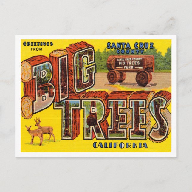 Grüße vom Santa Cruz Landkreis, Big Trees Park Postkarte (Vorderseite)