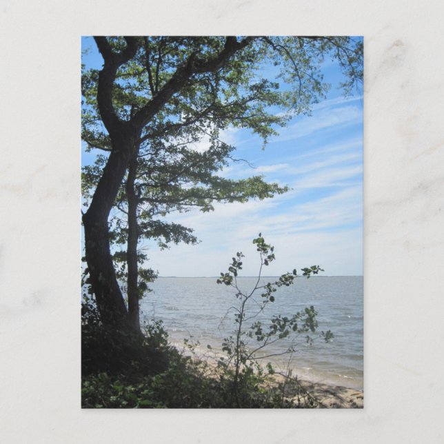 Grüße vom Strand! Postkarte (Vorderseite)