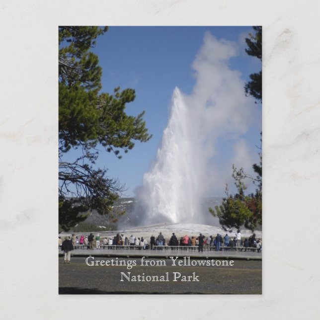 Grüße vom Yellowstone Nationalpark Postcard Postkarte (Vorderseite)