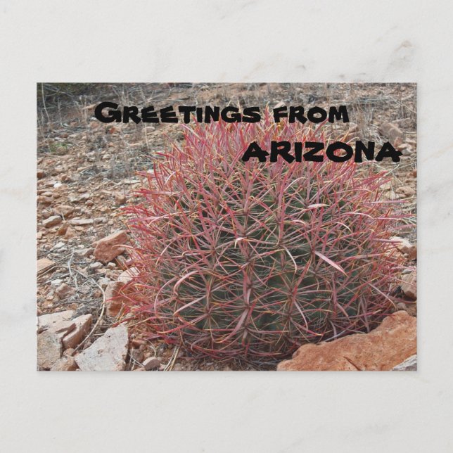 Grüße von Arizona Red Barrel Cactus Pflanze Postkarte (Vorderseite)