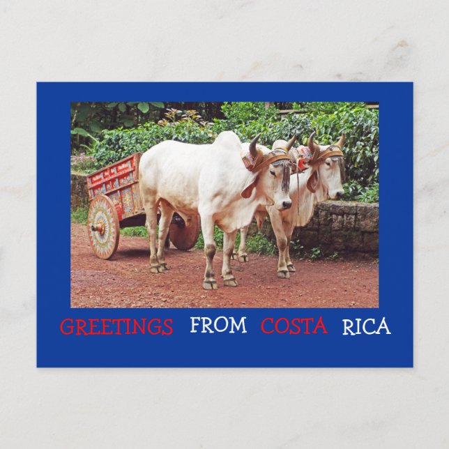 Grüße von Costa Rica Postcard (oxen & oxcart) Postkarte (Vorderseite)