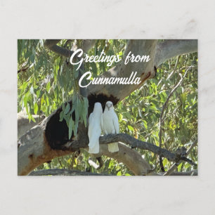 Grüße von Cunnamulla Postkarte