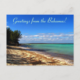 Grüße von den Bahamas! Postkarte