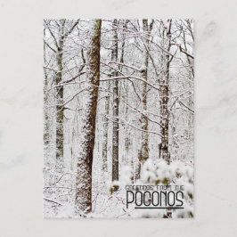 Grüße von den Poconos!Schneewald Postkarte