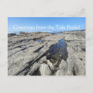 Grüße von den Tide Pools! Postkarte