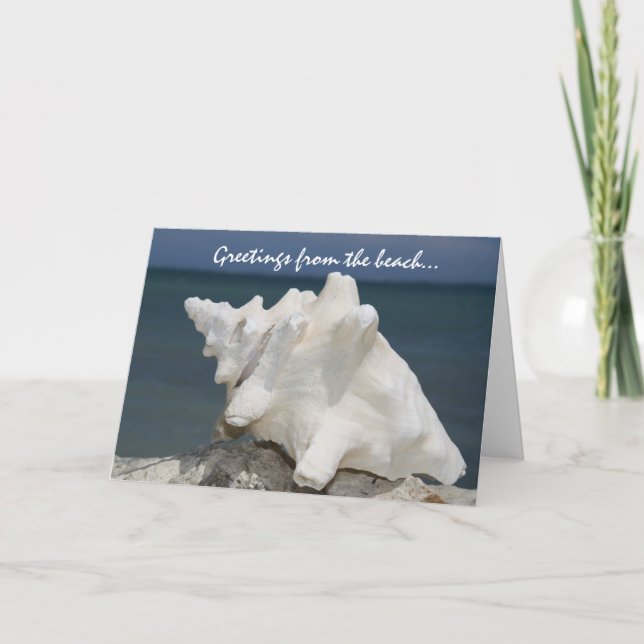Grüße von der Strand-Tritonshorn-Muschel Karte (Vorderseite)