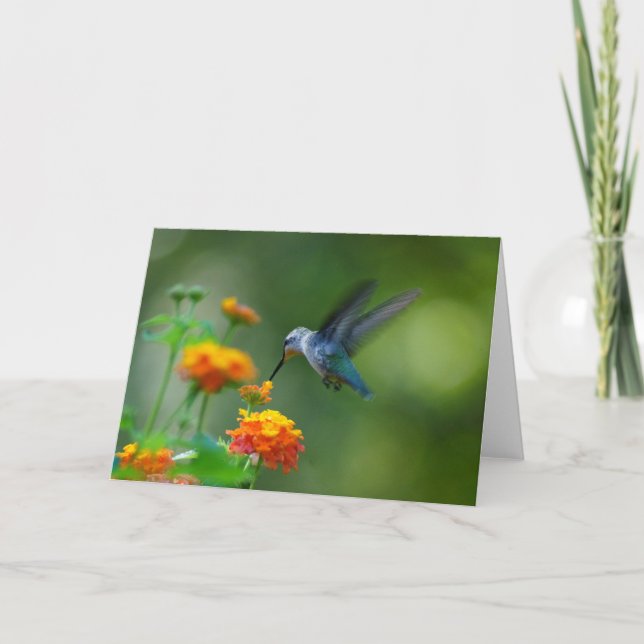 Grüße! Von einem Sommer Hummer! Karte (Vorderseite)