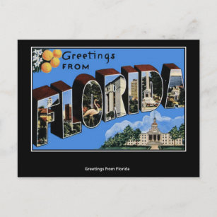 Grüße von Florida Postcard Postkarte