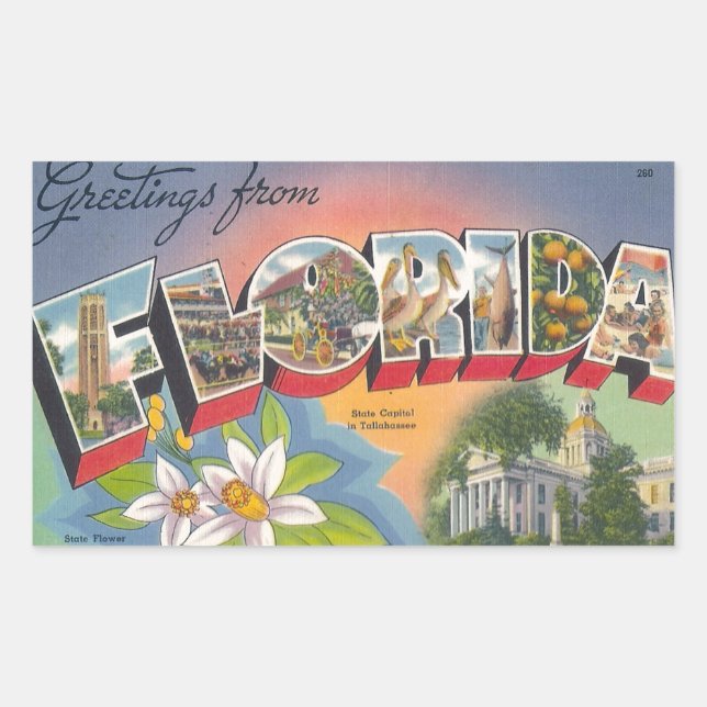 Grüße von FLORIDA Rechteckiger Aufkleber (Vorderseite)