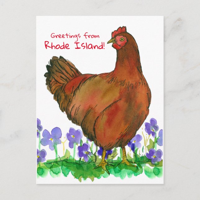 Grüße von Red Hen Violets von Rhode Island Postkarte (Vorderseite)