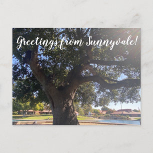 Grüße von Sunnyvale! Postkarte