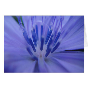 Grusskarte blaue Blütenmitte, blanko